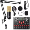 Professional Condenser Microphone And Sound Card BM800