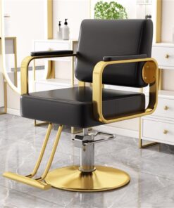 Hydraulic Barber Styling Chairs for Salon Hairdresser