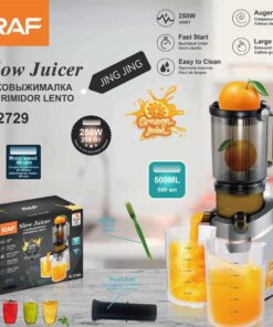 RAF R.2729 Slow Juicer – 250W – 60 RPM – 500ML Capacity